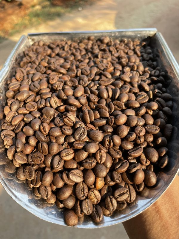 Cà phê hạt Robusta Natural