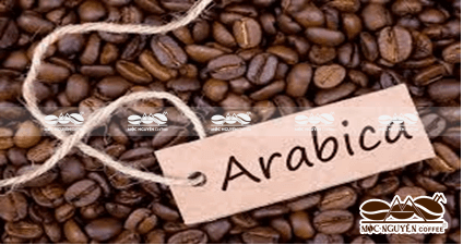 Cà phê Arabica 