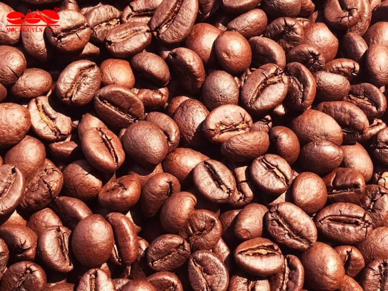 Cà Phê Hạt Robusta Natural – Mộc Nguyên Coffee