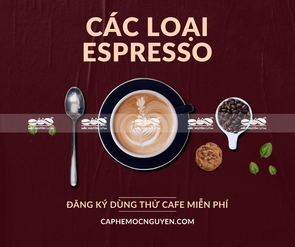 Cách phân biệt các loại Espresso