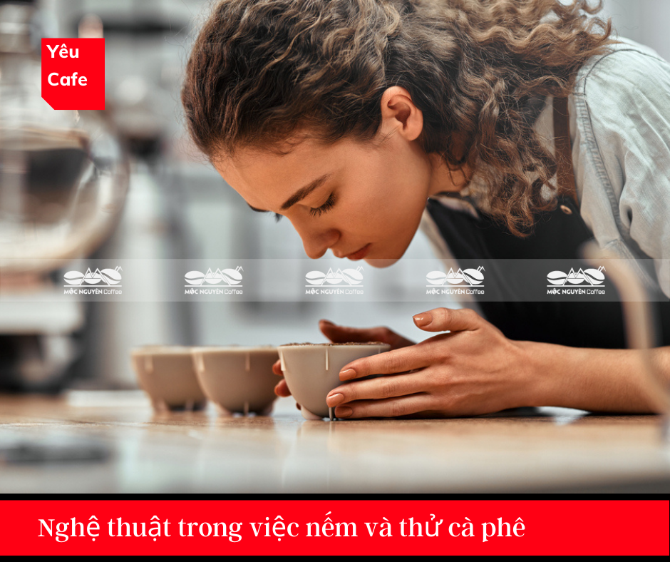 Nghệ thuật trong việc nếm và thử cà phê đúng cách