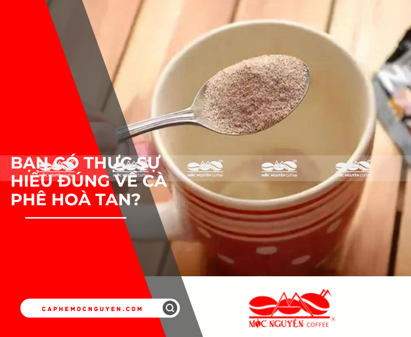 Bạn có thực sự hiểu đúng về cà phê hoà tan